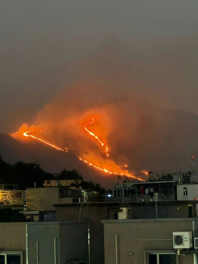 香港突发山火，深圳遥望火线