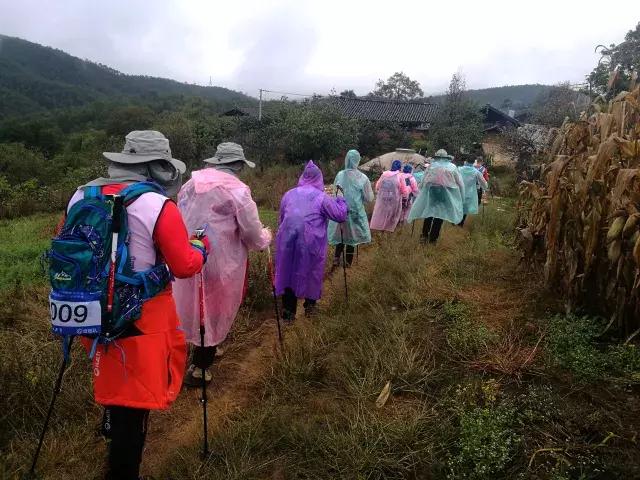 男子从深圳徒步回湖南过年，一场跨越千里的温情之旅