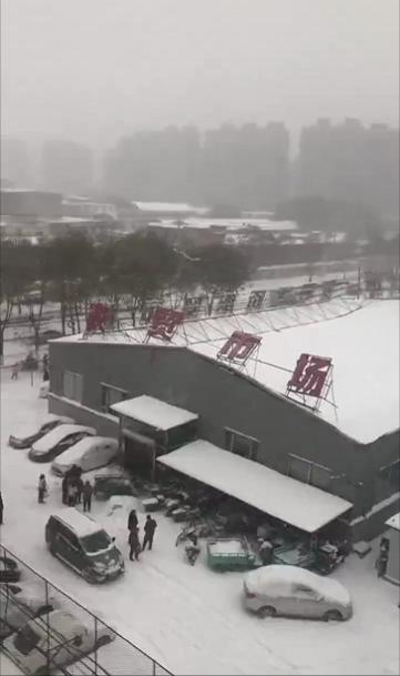 辽宁出现近60年一月最强降雪，一场风雪中的壮丽景象