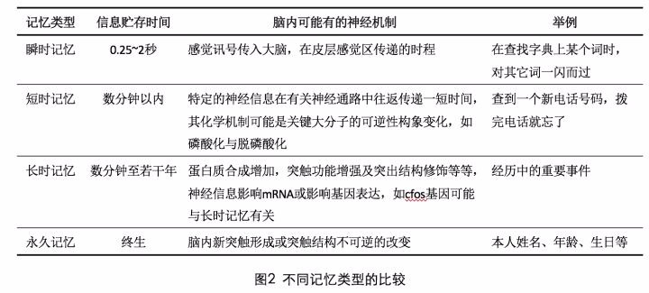 揭秘记忆长存之谜，人体细胞更新背后的秘密！你的回忆如何穿越时间的洪流？探寻真相在此。