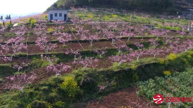 县城消费观念革新，重塑市场格局，引领新时代潮流！究竟发生了什么变化？揭秘背后的趋势与动因。