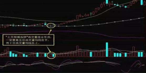 2025年2月18日 第9页