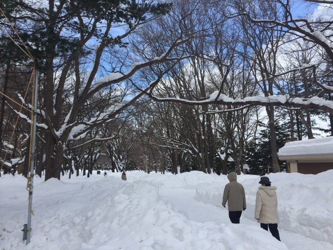 黄山雪灾惊魂！游客险遭头朝下滑落，生死瞬间牵动人心悬念重重。