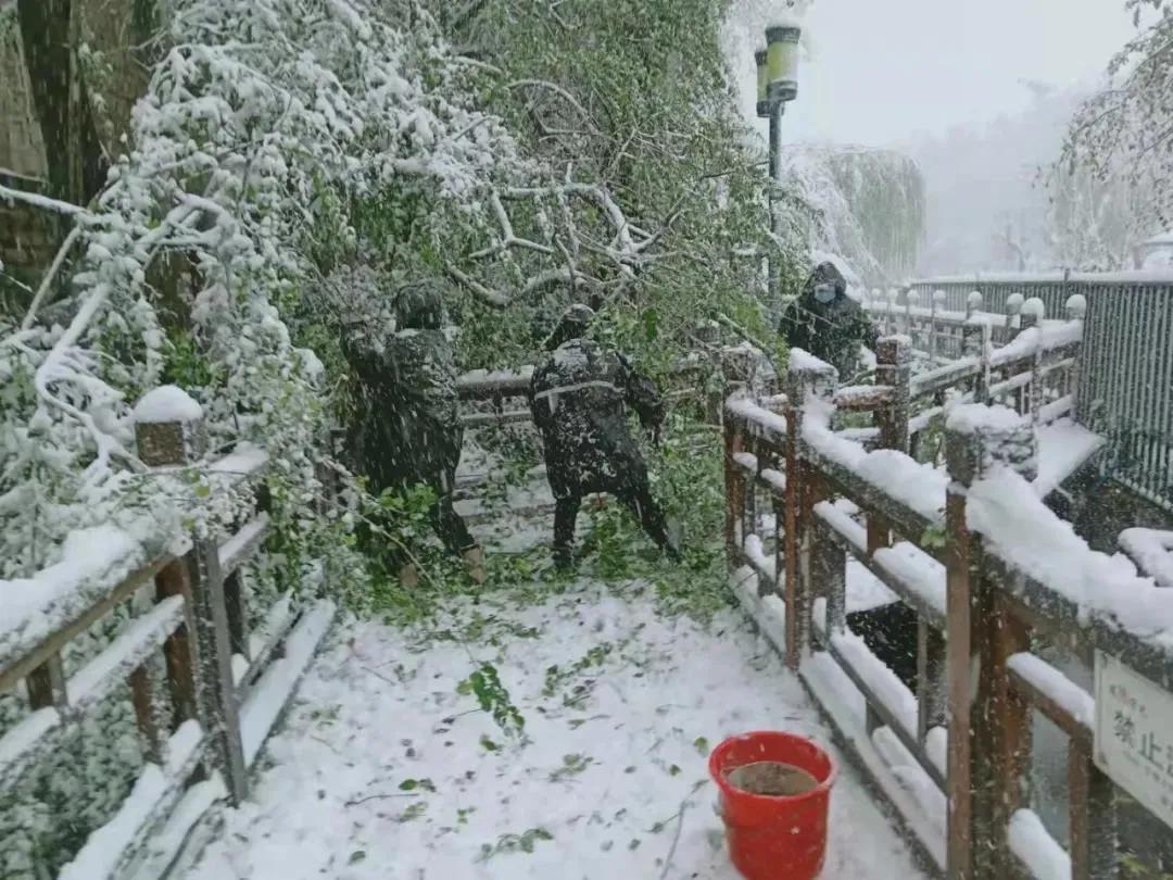 直击暴雪中的济南，深度剖析与最新资讯