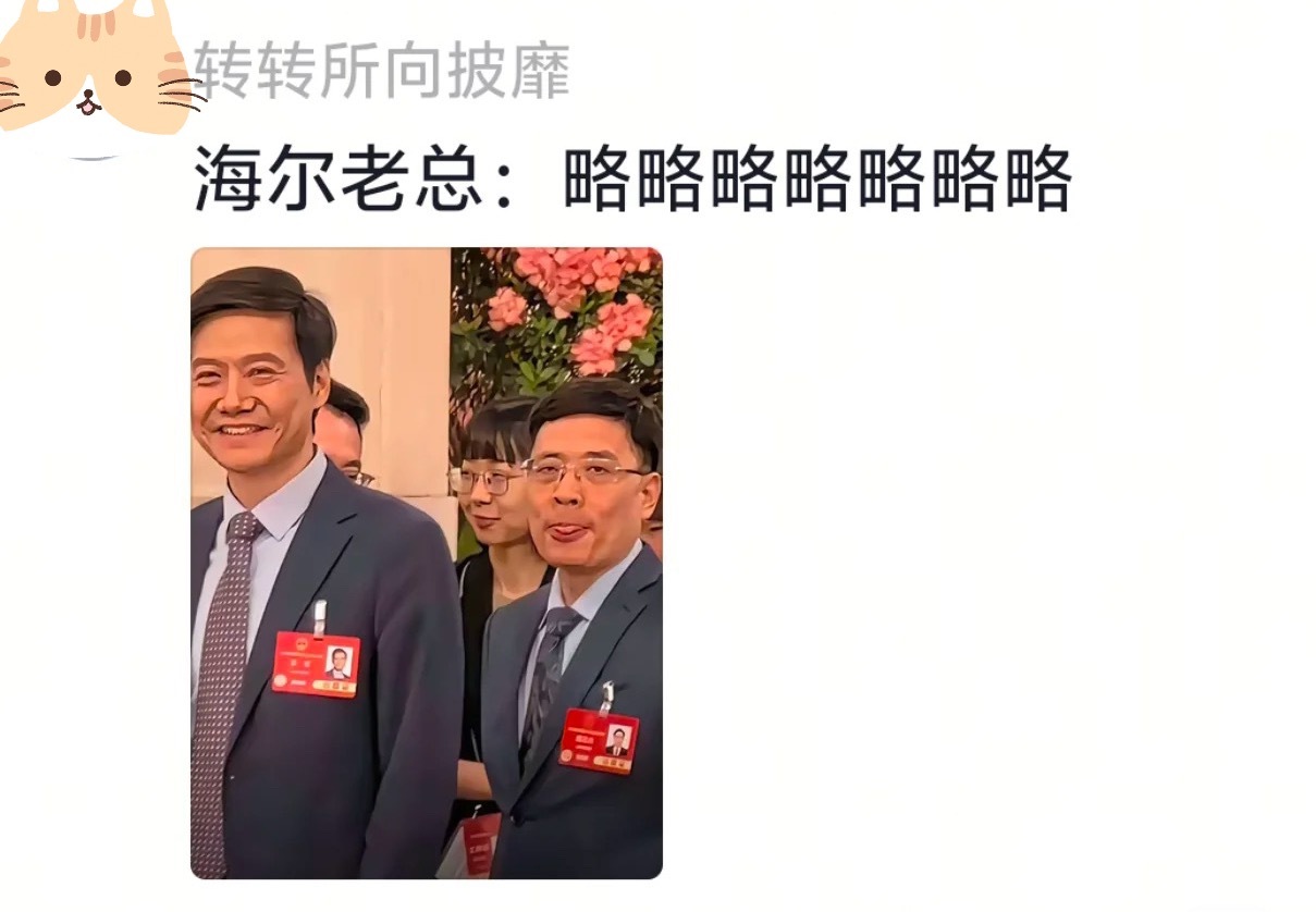 海尔总裁周云杰背后的故事，雷军助力下的崛起之路，究竟有何玄机？揭秘背后真相！深度剖析文章。