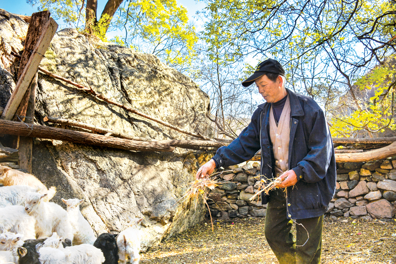 东风何以难领行业之先？揭秘其未能成为领头羊的深层原因与未来挑战！深度剖析背后的真相。