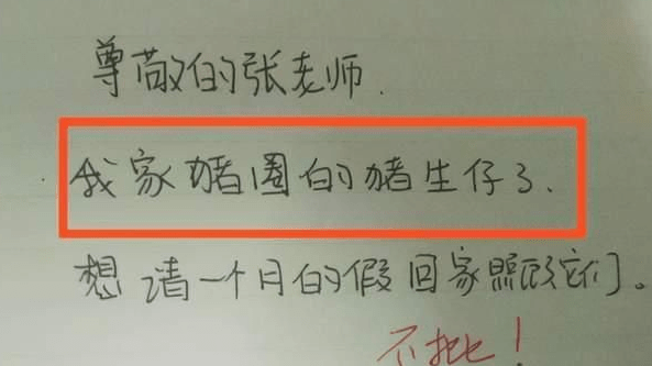 大学生请假返乡结婚