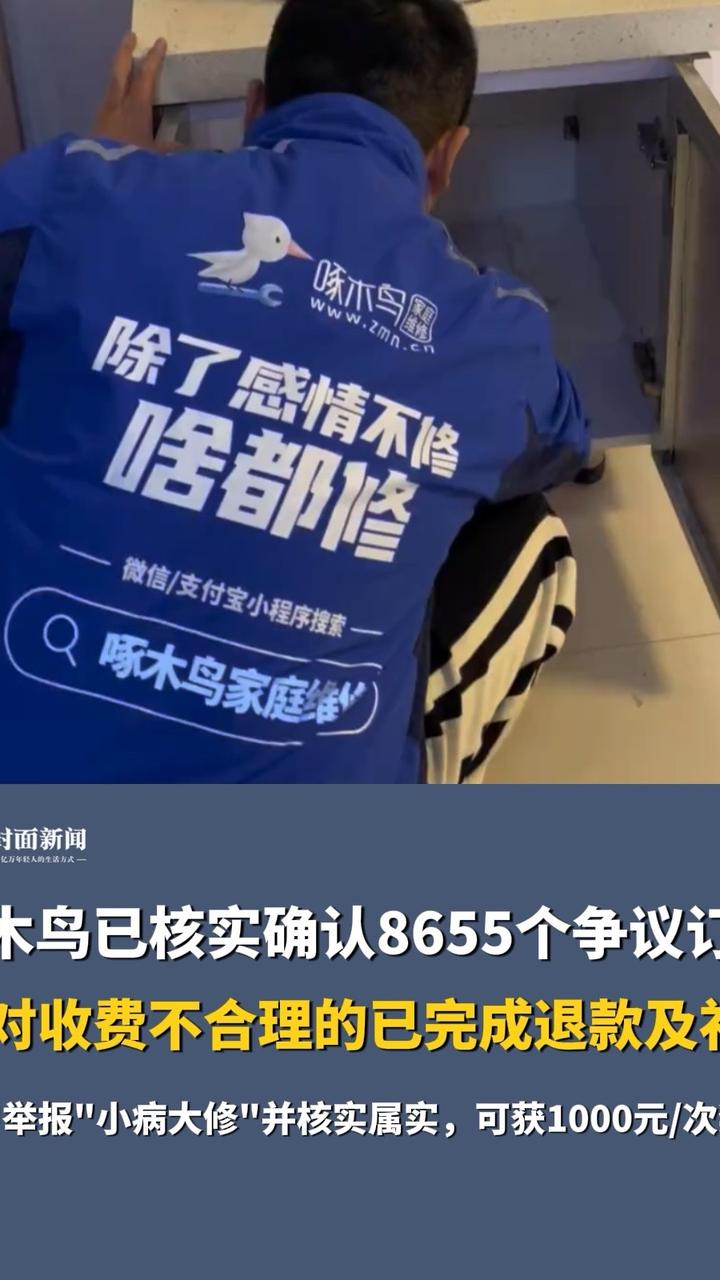 推荐，揭秘啄木鸟订单风暴！865争议单曝光，真相究竟如何？