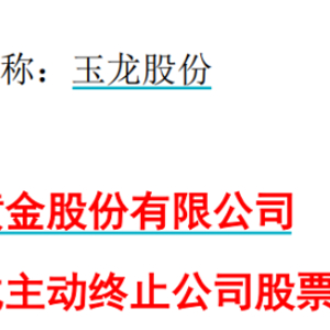 玉龙股份拟主动退市，背后的决策与未来走向揭秘