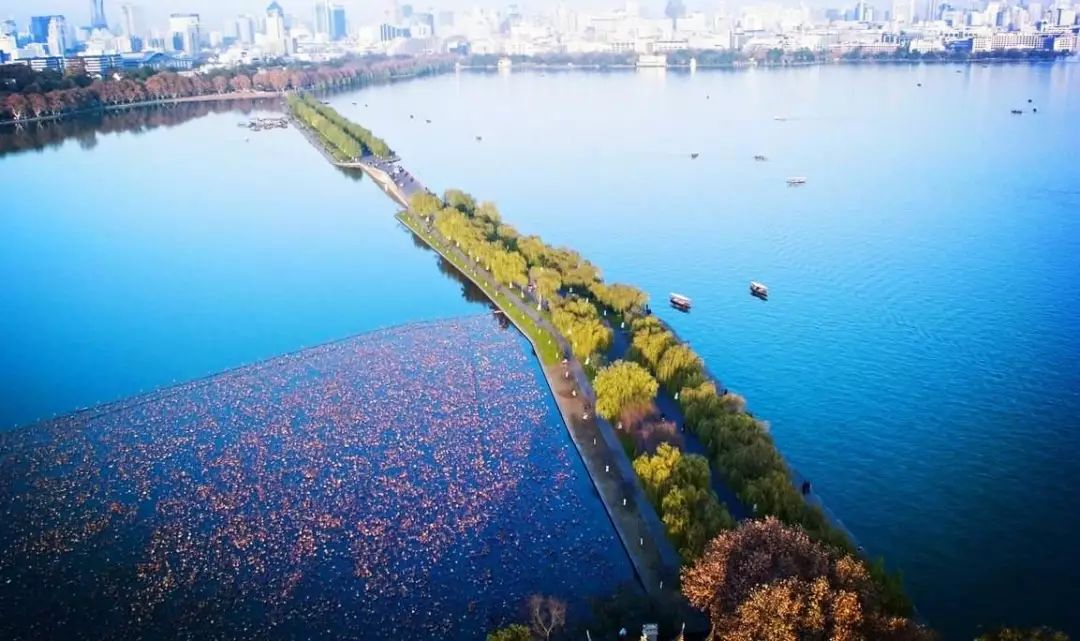 西湖太子湾，惊艳世界的旅游热潮背后的故事