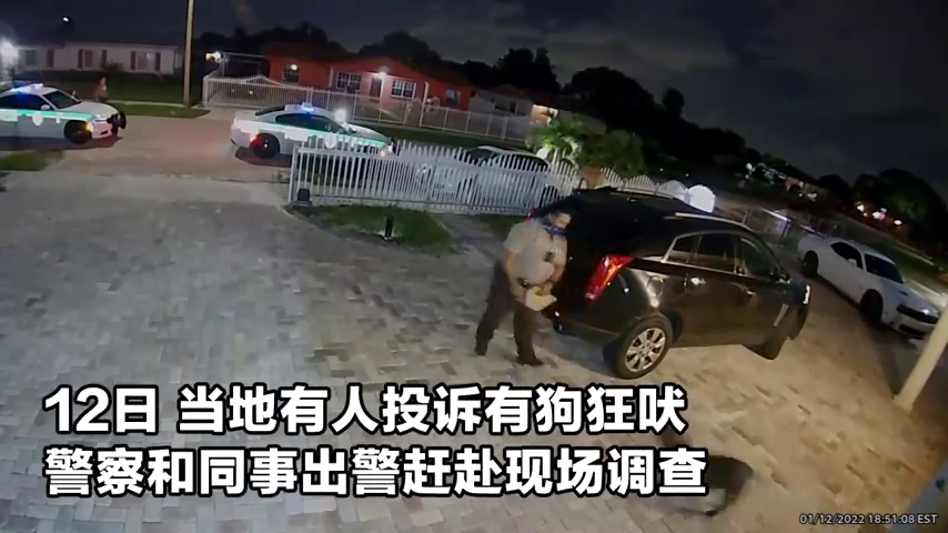 独家爆料美国警察出警遭遇疯狂宠物犬，连开四枪引发社会热议！